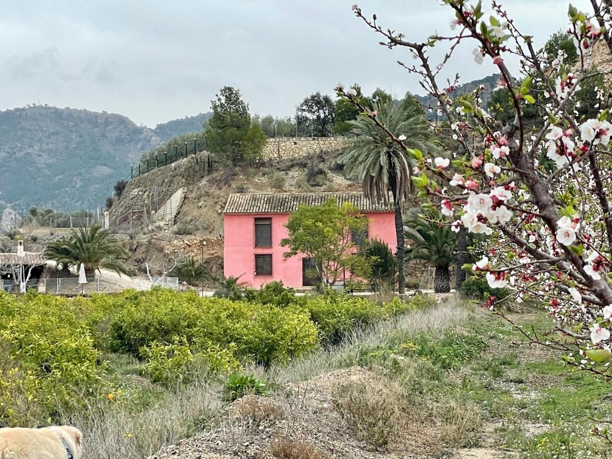 Casa Ramoncico. Finca El Campillo Blanca Buitenkant foto