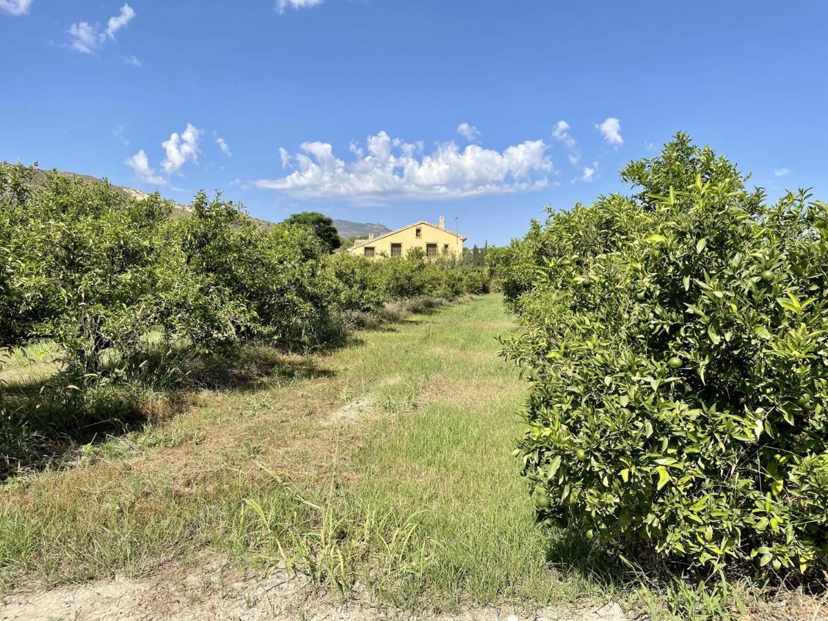 Casa Ramoncico. Finca El Campillo Blanca Buitenkant foto