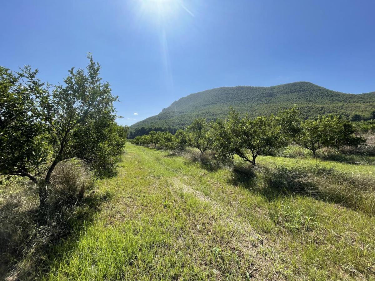 Casa Ramoncico. Finca El Campillo Blanca Buitenkant foto