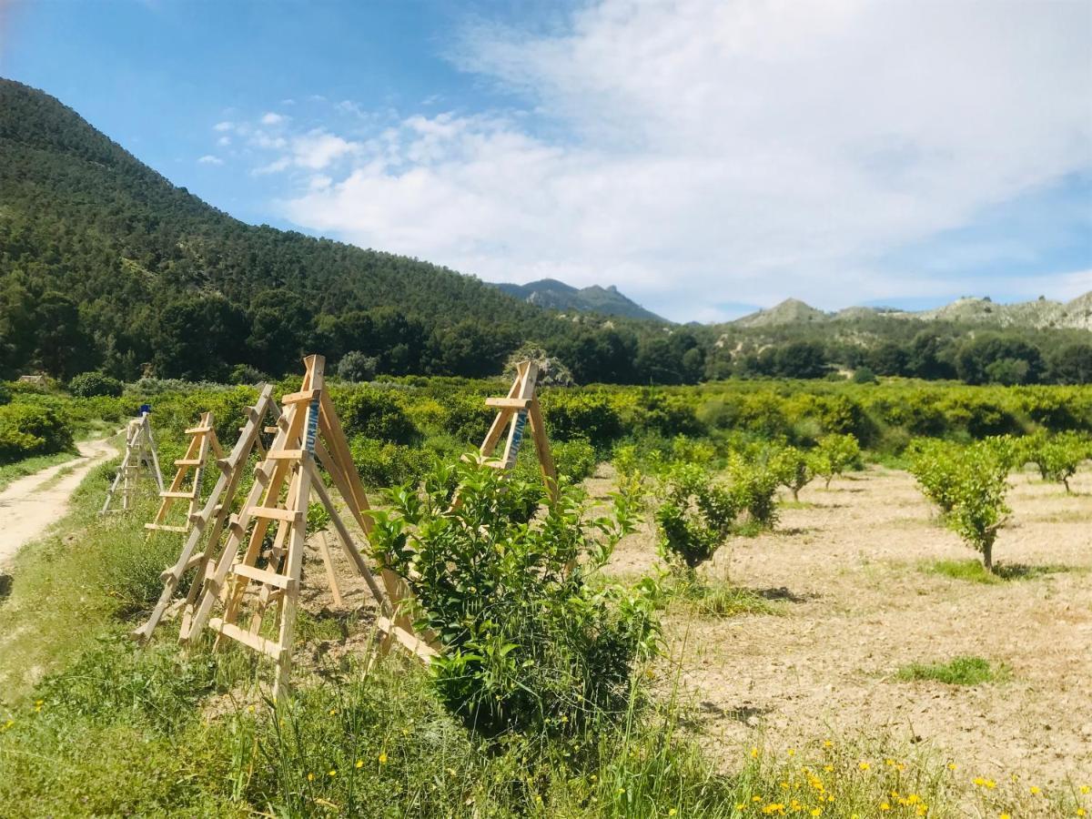 Casa Ramoncico. Finca El Campillo Blanca Buitenkant foto