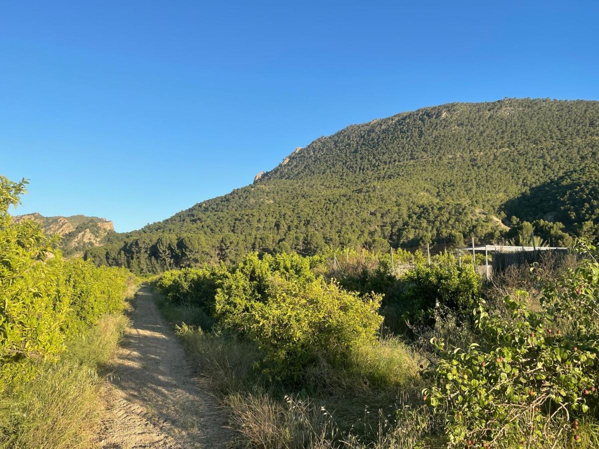 Casa Ramoncico. Finca El Campillo Blanca Buitenkant foto