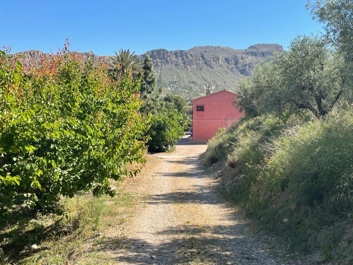 Casa Ramoncico. Finca El Campillo Blanca Buitenkant foto